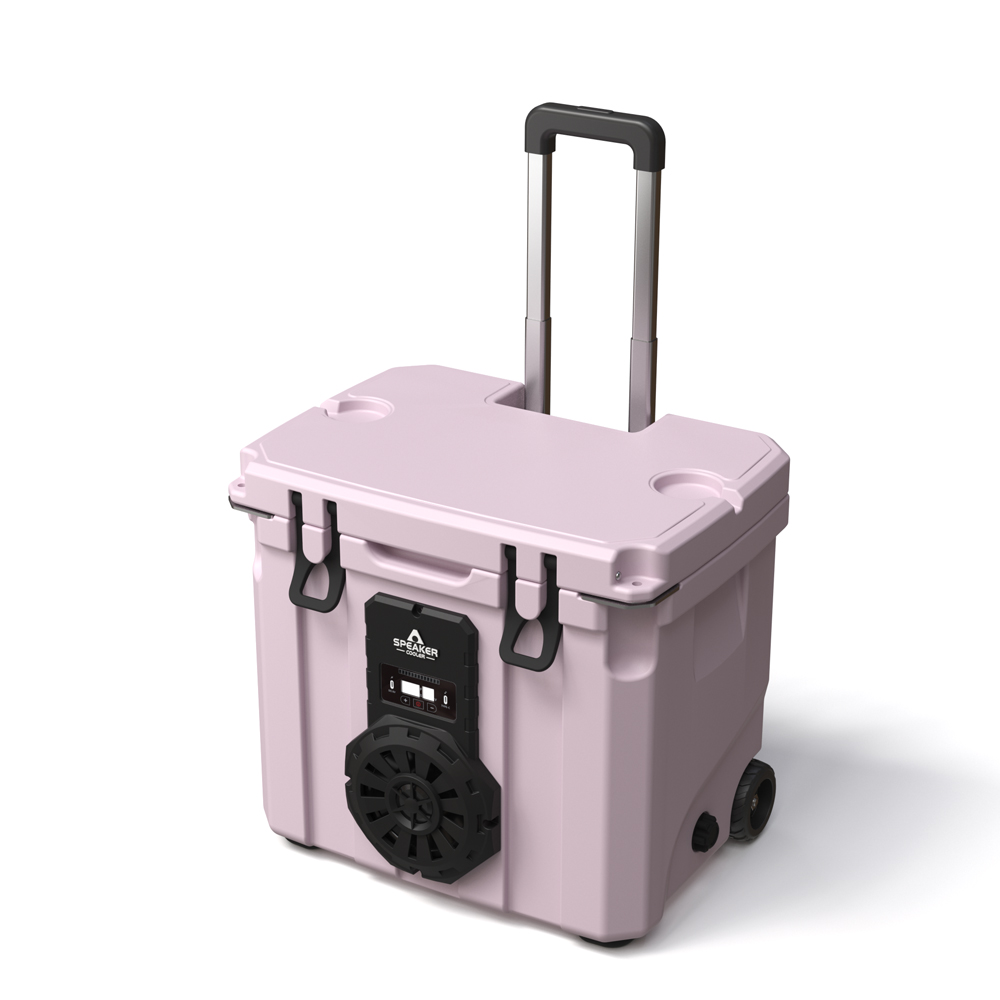 Borsa Frigo Portatile da 35L c - Food & Snacks Pdf recensione e prezzo