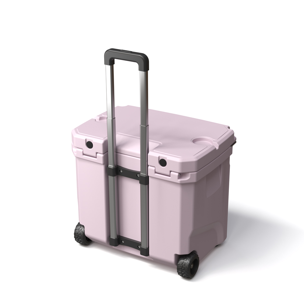 Borsa Frigo Portatile da 35L c - Food & Snacks Pdf recensione e prezzo